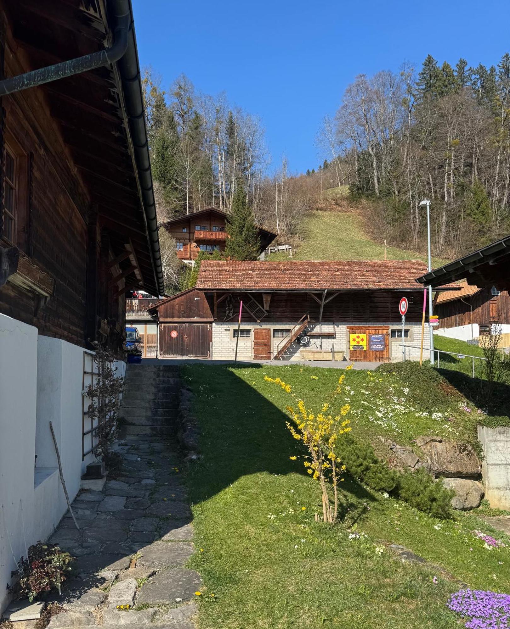 Studio Sternen Hasliberg Exterior foto